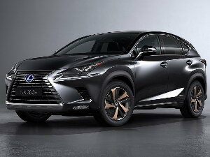 Коврики ЭВА "" для Lexus NX 300h (suv, гибрид / AYZ15) 2014 - 2021, ые, 5шт.